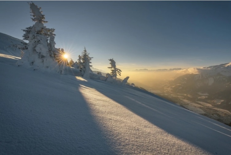 Bild_ Schnee_Brambruesch